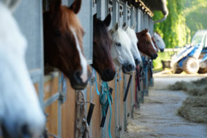 Equestrian property finance