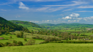 farm diversification loan 