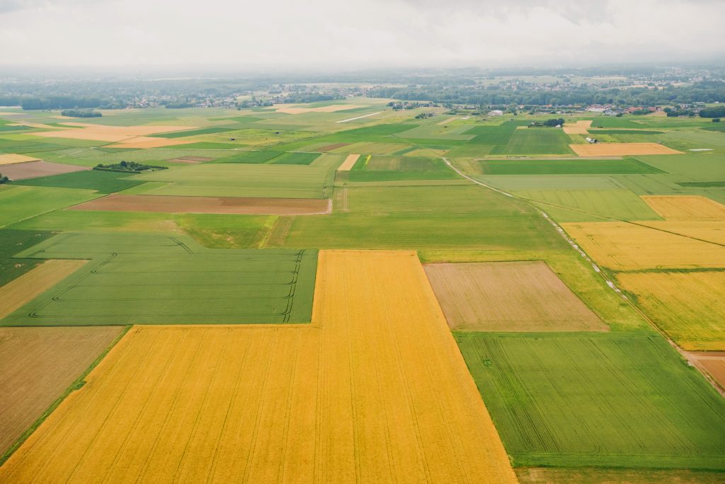 Bird Eye View Of Land Farmland And Nature Landscape. Aerial Photography ...